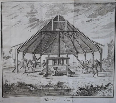 Histoire de la Jamaïque. SLOANE HANS