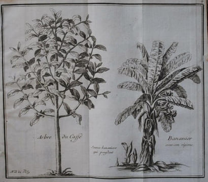 Histoire de la Jamaïque. SLOANE HANS
