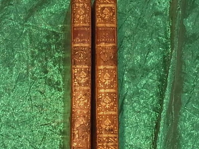 HISTOIRE DE SUMATRA,DANS LAQUELLE ON TRAITE DU GOUVERNEMENT