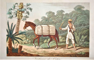 VOYAGES DANS LA PARTIE SEPTENTRIONALE DU BRÉSIL, DEPUIS 1809 JUSQU EN 1815, COMPRENANT LES PROVINCES DE PERNAMBUCO (FERNAMBOUC) , SEARA, PARAÏBA, MARAGNAN, ETC. ; TRADUIT DE L ANGLAIS PAR M. A. JAY. ORNÉS DE HUIT PLANCHES COLORIÉES ET DE DEUX CARTES. TOME PREMIER. 