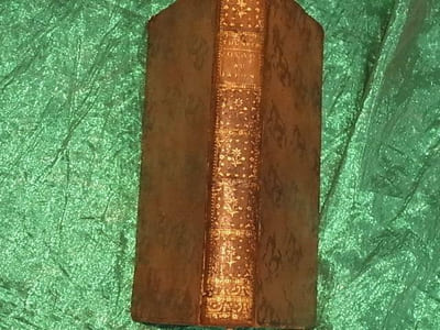VOYAGE EN AFRIQUE ET EN ASIE PRINCIPALEMENT AU JAPON. PARIS 1794