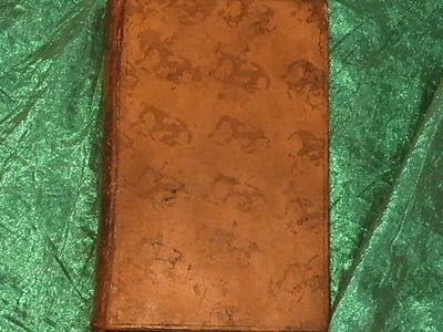 VOYAGE EN AFRIQUE ET EN ASIE PRINCIPALEMENT AU JAPON. PARIS 1794