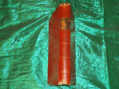DICTIONNAIRE RAISONNE DES ONOMATOPEES FRANCAISE.