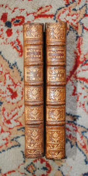 Mélanges interessans et curieux ou Abrégé d Histoire Naturelle, morale, civile, et politique de l Asie, l Afrique, l Amérique, et des Terres ...