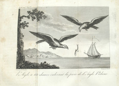 Voyage dans la Haute Pensylvanie et dans l'État de New York, par un membre adoptif de la Nation Onéida.

