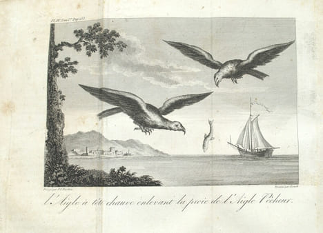 Voyage dans la Haute Pensylvanie et dans l'État de New York, par un membre adoptif de la Nation Onéida.
. CRÈVECŒUR (Hector Saint-John de)