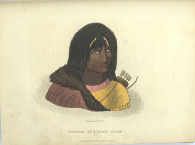 Narrative of a journey to the shores of the polar sea in the years 1819-1822 
