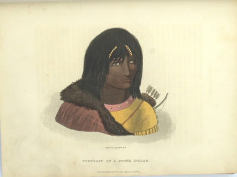 Narrative of a journey to the shores of the polar sea in the years 1819-1822
. FRANKLIN (John)
