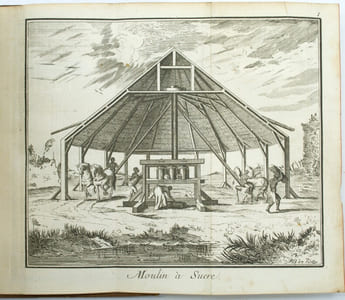 Histoire de la Jamaïque. 

