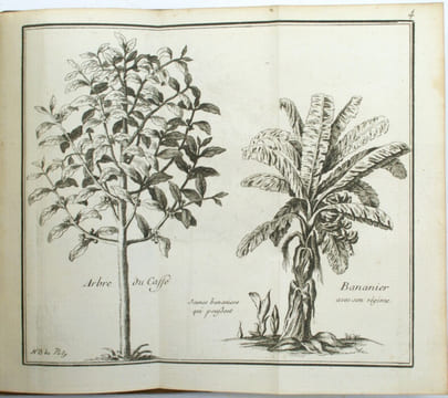 Histoire de la Jamaïque.
. LESLIE (Charles), RAULIN (Joseph, traducteur)
