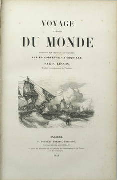 Voyage autour du monde entrepris par ordre du gouvernement sur la corvette la Coquille.

. LESSON (René-Primevère)

