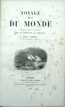 Voyage autour du monde entrepris par ordre du gouvernement sur la corvette la Coquille.

. LESSON (René-Primevère)

