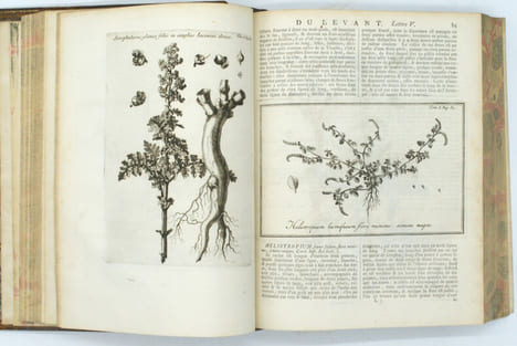 Relation d'un voyage du Levant fait par ordre du roi.
. TOURNEFORT (Joseph Pitton de).