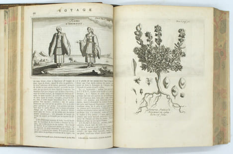 Relation d'un voyage du Levant fait par ordre du roi.
. TOURNEFORT (Joseph Pitton de).