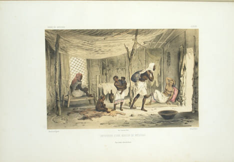 Voyage en Abyssinie exécuté pendant les années 1839, 1840, 1841, 1842, 1843 par une commission scientifique composée de MM. Théophile Lefebvre ...