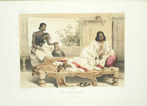 Voyage en Abyssinie exécuté pendant les années 1839, 1840, 1841, 1842, 1843 par une commission scientifique composée de MM. Théophile Lefebvre ...
