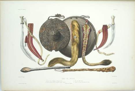 Voyage en Abyssinie exécuté pendant les années 1839, 1840, 1841, 1842, 1843 par une commission scientifique composée de MM. Théophile Lefebvre ...