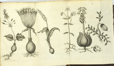 Voyage de Siam des pères jésuites, envoyez par le Roy aux Indes et à la Chine avec leurs observations astronomiques, et leurs remarques de physique, ...