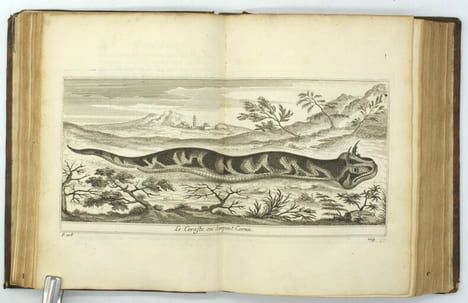 Voyage de Siam des pères jésuites, envoyez par le Roy aux Indes et à la Chine avec leurs observations astronomiques, et leurs remarques de physique, ...
