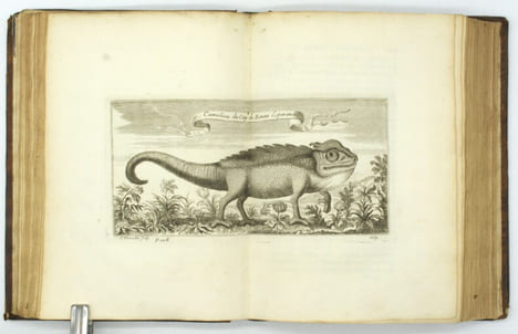 Voyage de Siam des pères jésuites, envoyez par le Roy aux Indes et à la Chine avec leurs observations astronomiques, et leurs remarques de physique, ...