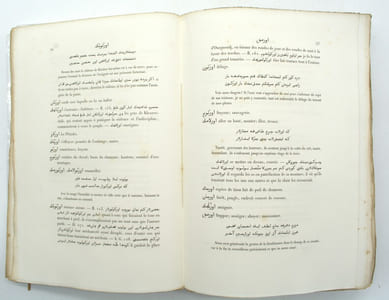 Dictionnaire turk-oriental destiné principalement à faciliter la lecture des ouvrages de Bàber, d'Aboul-Gàzi et de Mir-Ali-Chir-Nevaï. 
