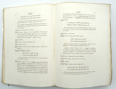 Dictionnaire turk-oriental destiné principalement à faciliter la lecture des ouvrages de Bàber, d'Aboul-Gàzi et de Mir-Ali-Chir-Nevaï.
. PAVET DE ...