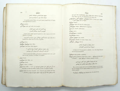 Dictionnaire turk-oriental destiné principalement à faciliter la lecture des ouvrages de Bàber, d'Aboul-Gàzi et de Mir-Ali-Chir-Nevaï. 
