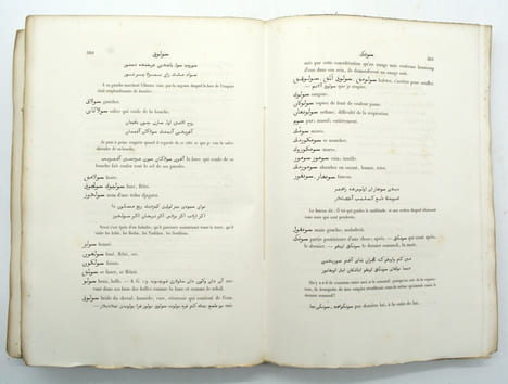 Dictionnaire turk-oriental destiné principalement à faciliter la lecture des ouvrages de Bàber, d'Aboul-Gàzi et de Mir-Ali-Chir-Nevaï.
. PAVET DE ...