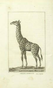 Voyage dans l’intérieur de l’Afrique par le Cap de Bonne-Espérance & Second voyage dans l’intérieur de l’Afrique, par le Cap de Bonne-Espérance, dans les années 1783, 84 et 85….
