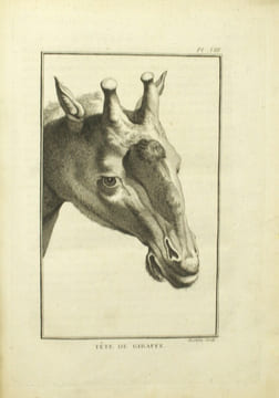Voyage dans l’intérieur de l’Afrique par le Cap de Bonne-Espérance & Second voyage dans l’intérieur de l’Afrique, par le Cap de Bonne-Espérance, dans ...