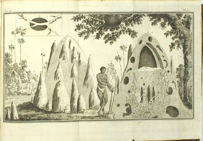 Voyage au Cap de Bonne-Espérance et autour du monde avec le capitaine Cook, et principalement dans le pays des Hottentots et des Caffres
