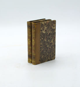 Voyage pittoresque de l'Inde, fait dans les années 1780-1785. Traduit de l'anglais et augmenté de notes par L. Langlès.
