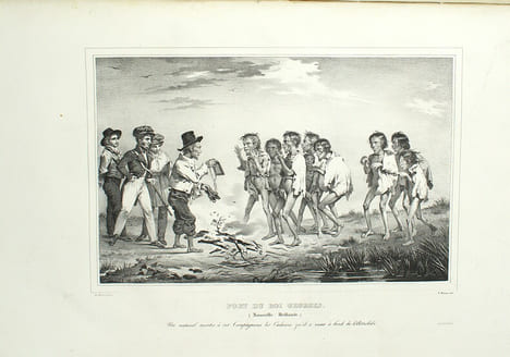 Voyage de la corvette l'Astrobale exécuté pendant les années 1826-1827-1828-1829. Atlas.
. DUMONT D'URVILLE.