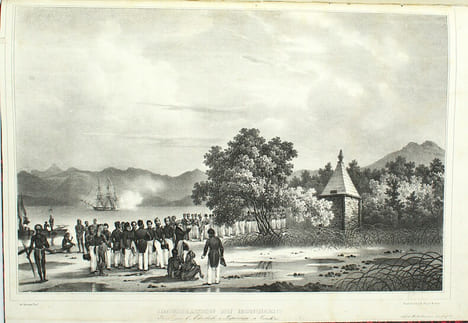 Voyage de la corvette l'Astrobale exécuté pendant les années 1826-1827-1828-1829. Atlas.
. DUMONT D'URVILLE.