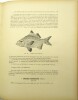 Les Poissons des eaux douces de Madagascar et des îles voisines (Comores, Seychelles, Mascareignes)
. PELLEGRIN, Jacques
