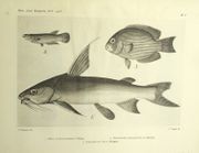 Image de livre