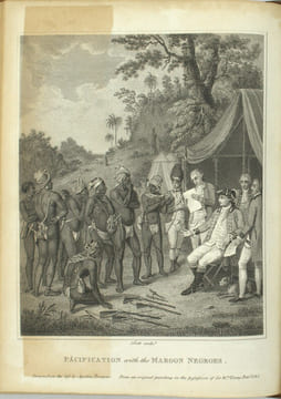 The History civil and commercial of the British colonies in the West Indies in two volumes by Bryan Edwards of the Island of Jamaica
. EDWARDS ...