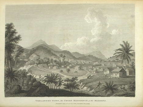 The History civil and commercial of the British colonies in the West Indies in two volumes by Bryan Edwards of the Island of Jamaica
. EDWARDS ...