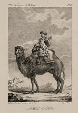 Voyage à Péking, à travers la Mongolie en 1820 et 1821. Traduit du russe, par M. N****, et revu par M. J.-B. Eyriès. Ouvrage publié avec des ...