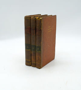 Voyage dans la Régence d’Alger, ou description du pays occupé par l’armée française en Afrique ; contenant des observations sur la géographie physique, la géologie, la météorologie, l’histoire naturelle, etc., Texte seul.
