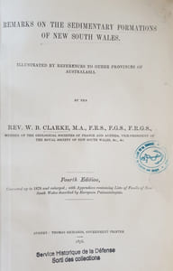 REMARKS ON THE SEDIMENTARY FORMATIONS OF NEW SOUTH WALES