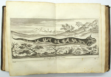 Voyage de Siam des pères jésuites, envoyez par le Roy aux Indes et à la Chine avec leurs observations astronomiques, et leurs remarques de physique, ...