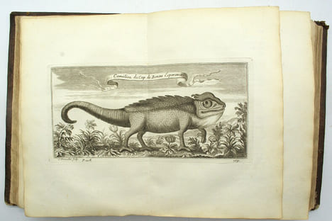 Voyage de Siam des pères jésuites, envoyez par le Roy aux Indes et à la Chine avec leurs observations astronomiques, et leurs remarques de physique, ...
