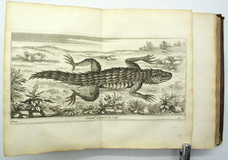 Voyage de Siam des pères jésuites, envoyez par le Roy aux Indes et à la Chine avec leurs observations astronomiques, et leurs remarques de physique, ...