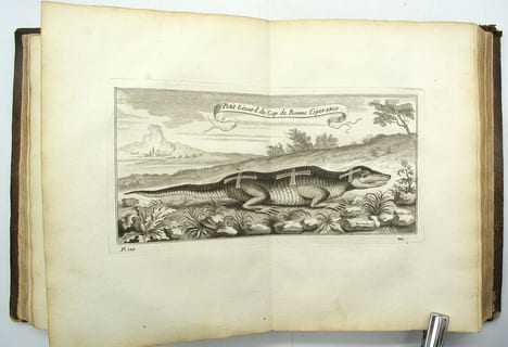 Voyage de Siam des pères jésuites, envoyez par le Roy aux Indes et à la Chine avec leurs observations astronomiques, et leurs remarques de physique, ...