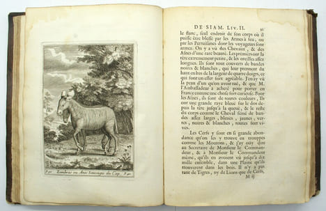 Voyage de Siam des pères jésuites, envoyez par le Roy aux Indes et à la Chine avec leurs observations astronomiques, et leurs remarques de physique, ...