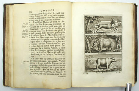 Voyage de Siam des pères jésuites, envoyez par le Roy aux Indes et à la Chine avec leurs observations astronomiques, et leurs remarques de physique, ...