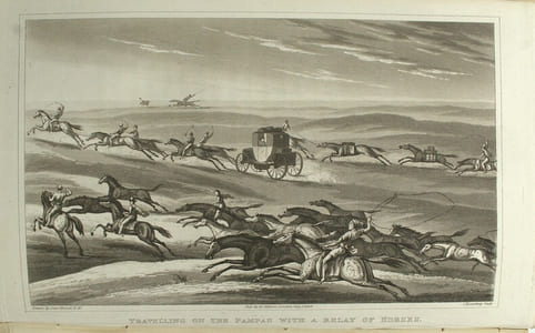 Journal of a voyage to Peru: a passage across the Cordillera of the Andes, in the winter of 1827, performed on foot in the snow; and a journey across the Pampas