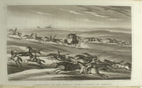 Journal of a voyage to Peru: a passage across the Cordillera of the Andes, in the winter of 1827, performed on foot in the snow; and a journey across the Pampas
