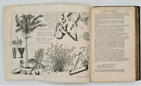 A New Account of East-India and Persia, in Eight Letters. Being nine years travels, Begun 1672. And finished 1681. Containing Observations made of the ...